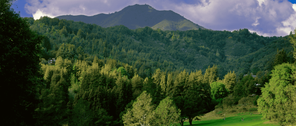 Mill Valley Golf Course